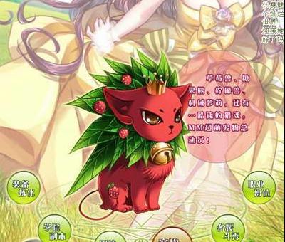 ��ü�ι���