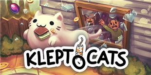 ��С͵è���ϼܣ�����һ�������߱ڵĺñ��죬���ܲ�����