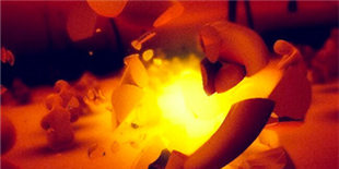 ����ר������ ��������ϵ���Ρ�UTU��iOS�������ϼ�