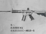 ѻֻ-AR15-S