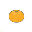 青蛙旅行橘子有什么用 特产橘子属性介绍