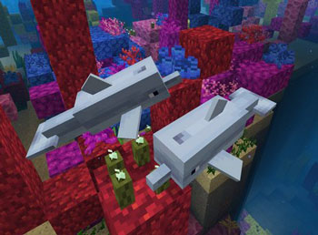 �ҵ�������Ұ�ӭ��1.4ˮ����� MC���±���60��