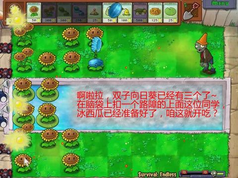 《植物大战僵尸》新手八炮流详细图文教程