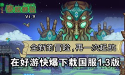 泰拉瑞亚国服下载