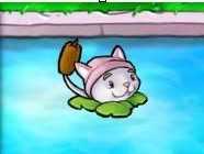 ����