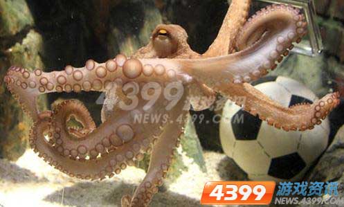 拥抱欧洲杯 7789平台诚邀预测帝