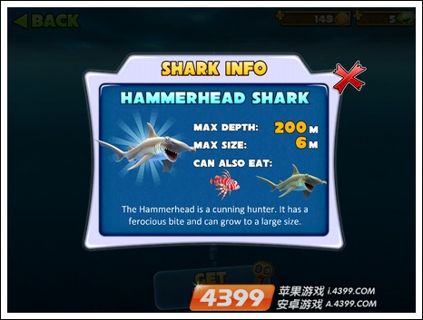 饥饿鲨进化鲨鱼种类推荐鲨鱼种类大全