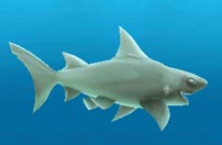 《饥饿鲨：进化》灰鲨鱼截图欣赏