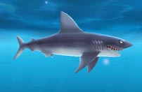 《饥饿鲨：进化》灰鲭鲨截图欣赏