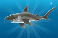 《饥饿鲨：进化》锤头鲨截图欣赏
