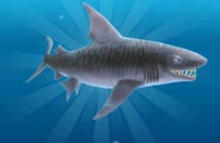 《饥饿鲨：进化》虎鲨截图欣赏