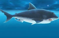 《饥饿鲨：进化》大白鲨截图欣赏