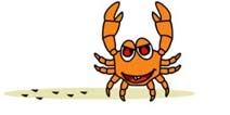 猜成语 一只螃蟹是什么成语_疯狂猜成语螃蟹有关成语图文介绍 图文攻略 高分