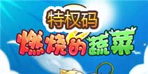 燃烧的蔬菜2特权码 特权码是多少