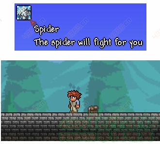 泰拉瑞亚蜘蛛法杖