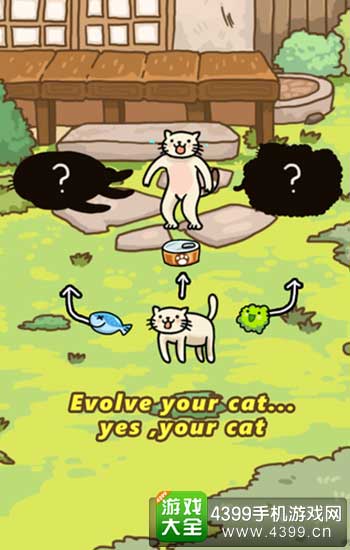 猫的进化世界2