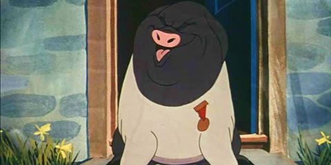 �����Ƽ�����������С��-�����Ⱥ��г������԰