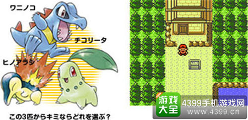 《精灵宝可梦》