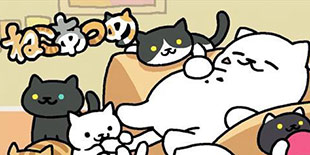 ���ü�����è���Ժ��ӭ��1.9�汾 ϡ��Ʒ�����������ϣ�