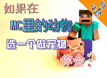 �����ѡ�� �ҵ�����ÿ�ܻ����52��