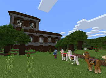 ���ڵ�����̽������ MC���±���22��