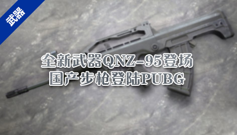 QNZ-95չʾ
