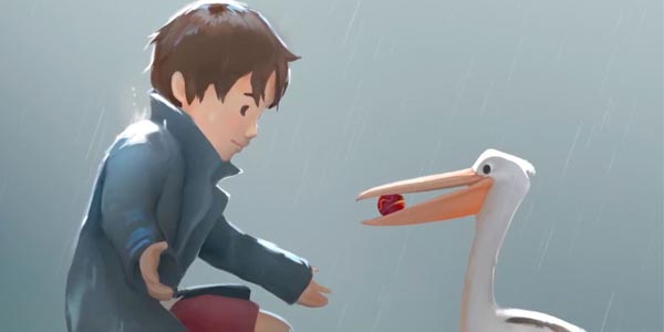 这是《男孩与鹈鹕》带来的超暖心治愈故事