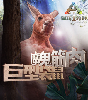 【驯龙一分钟】魔鬼肌肉—巨型袋鼠