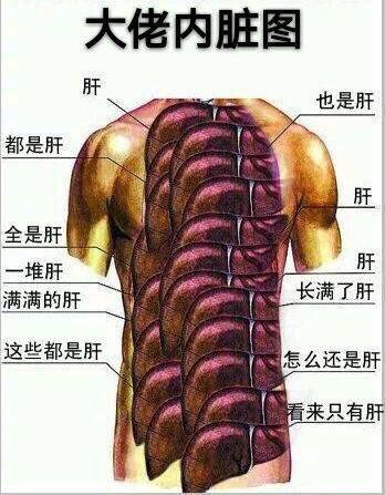 闲话宝可梦，你不知道的那些事