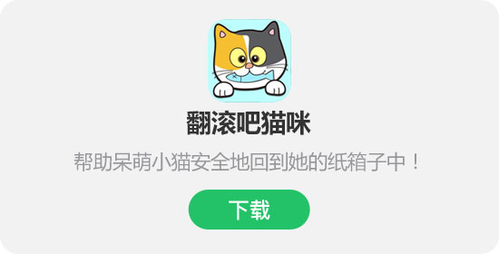 翻滚吧猫咪