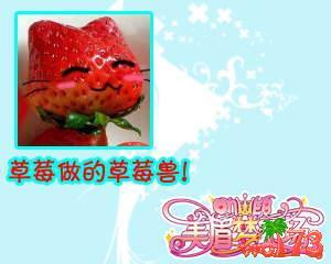 ��ü�ι���