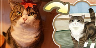 ������è�䡷�������ϼ� ��������������