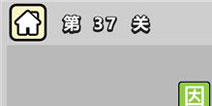 ����С��ŵ�37�ش𰸹��� �ؿ��𰸹������