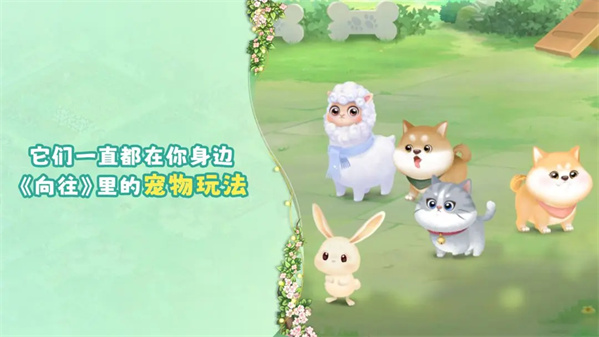 �Գ�������