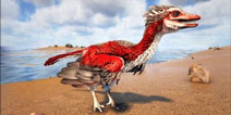 方舟生存进化始祖鸟怎么驯服 手机版始祖鸟属性介绍