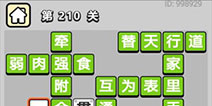 ����С��ŵ�210�ش𰸹��� �ؿ��𰸹������