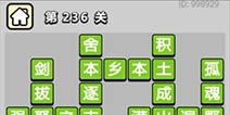 ����С��ŵ�236�ش𰸹��� �ؿ��𰸹������