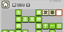 ����С��ŵ�238�ش𰸹��� �ؿ��𰸹������
