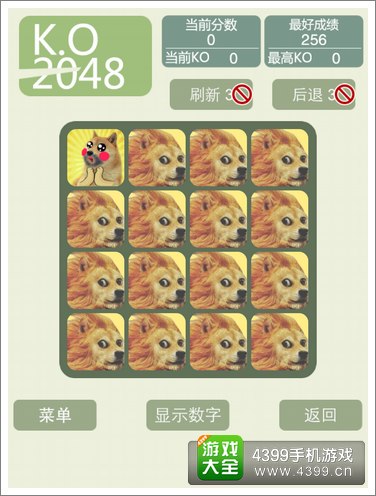 2048