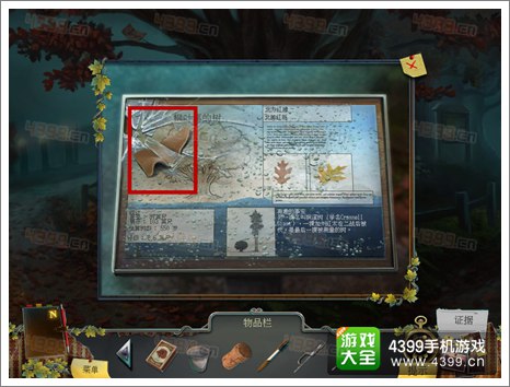 ��ѻɭ��֮��