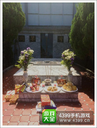 ����Ⱥ��������