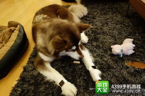 4399�ֻ���Ϸ��