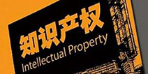 IPM 2015：中文在线版权中心靳清华IP推介环节演讲