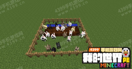 �ҵ�����pepc�°�����