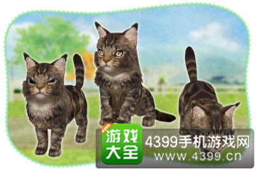 ������è�䡷