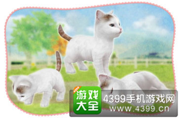 ������è�䡷