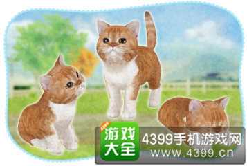 ������è�䡷