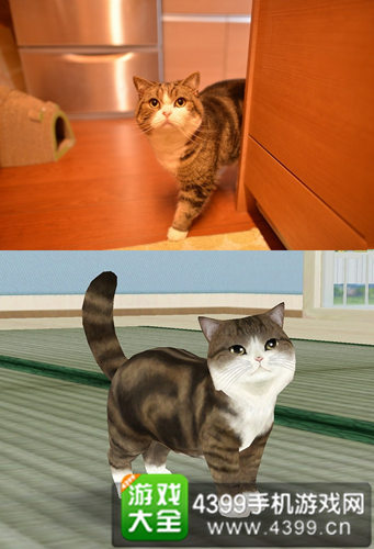 ������è�䡷