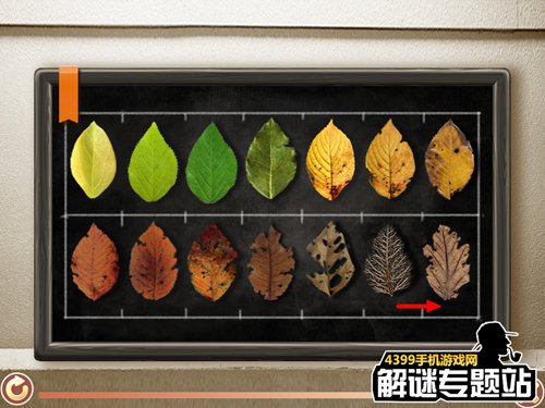 ǿ��֢�ռ����Թ���