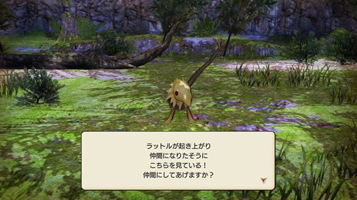 �̶�����